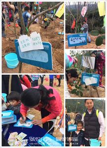 碧桂園植樹節(jié) 佩悅傳媒以專業(yè)公關(guān)策劃，賦能綠色品牌行動